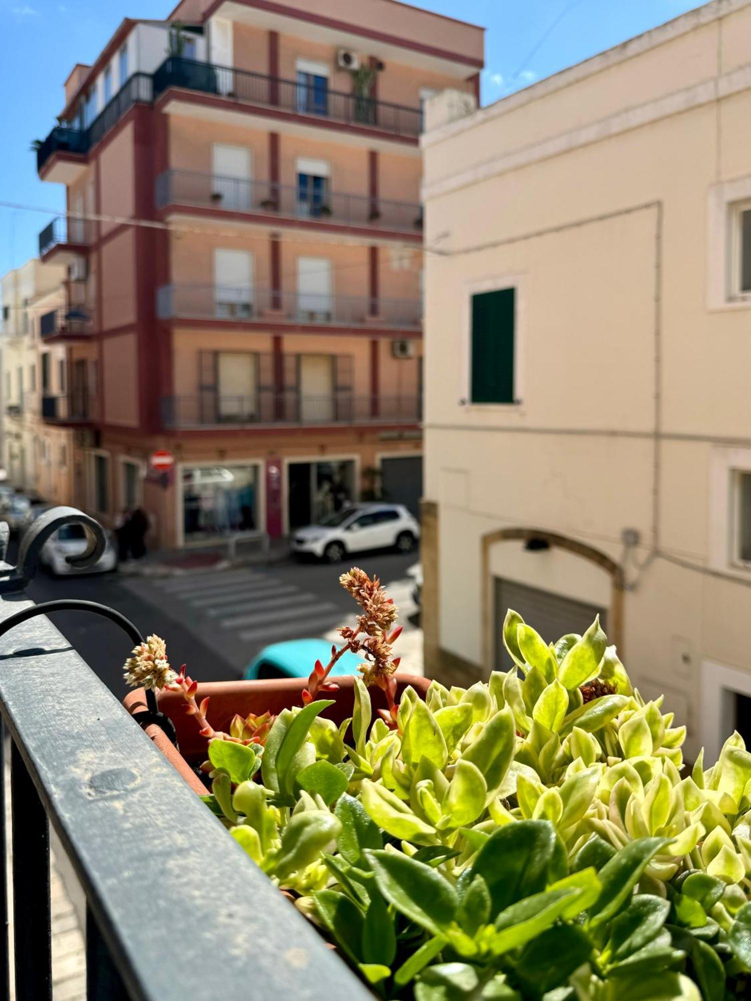 Apartament Casa Palestro Monopoli Zewnętrze zdjęcie